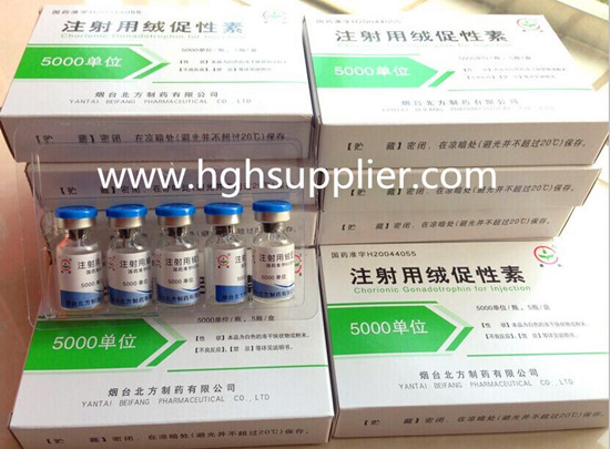 HCG 5000IU (Human Chorionic Gonadotrophin) YANTAI BEIFANG KITS